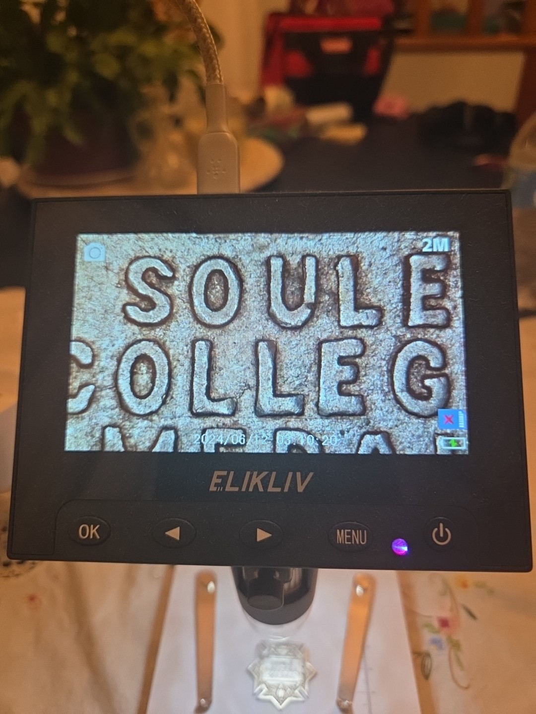 Soule College Medal Silver EARLY 20TH Century From NEW Orleans, USA Owl Torch