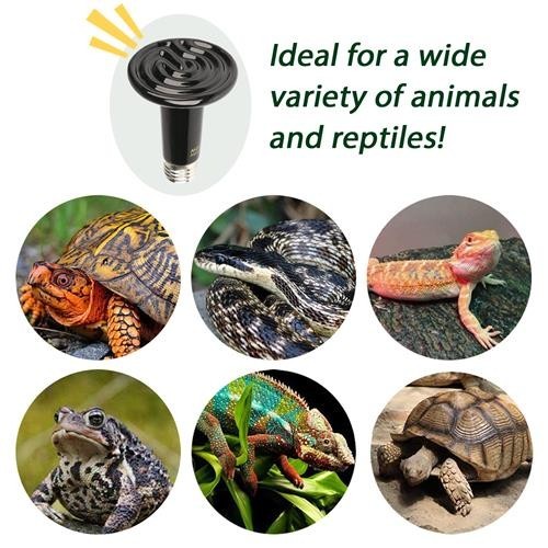 Heating Set (Lamp + Heat Emitter 75W)