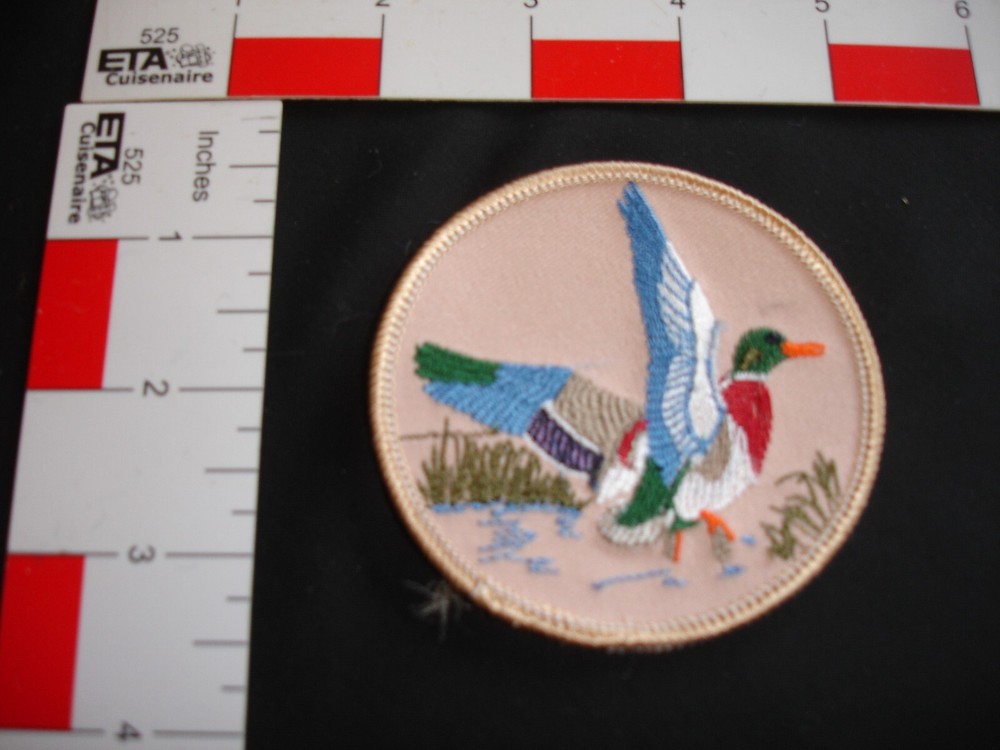Hunting Patch Duck