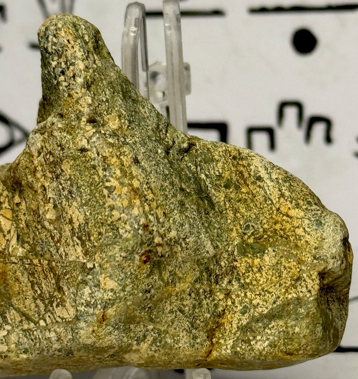 Native American Indian Authentic Artifact Stone Carved Effigy, 5.2 oz • VA