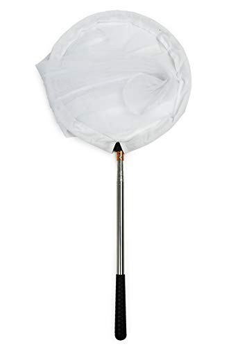 Insect & Butterfly Net - 12" Ring, 24" Depth, Extendable Handle 59" - Catch & Ob