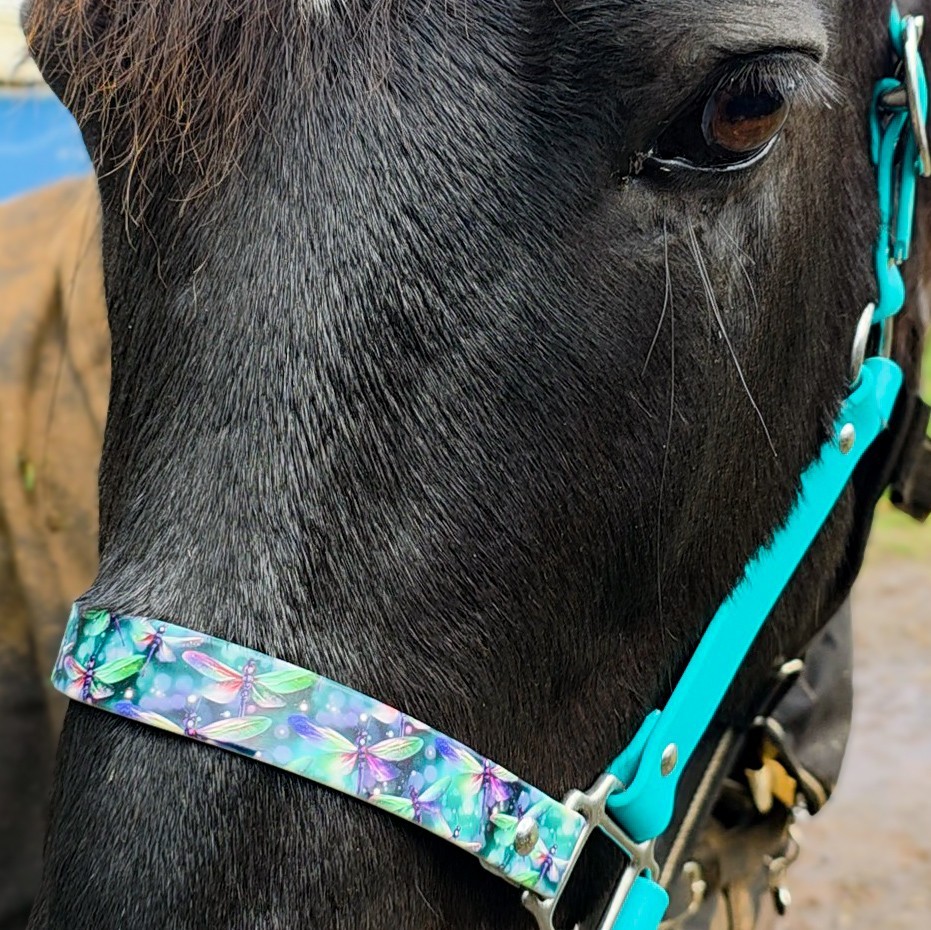 Biothane Horse Halter - Dragonfly