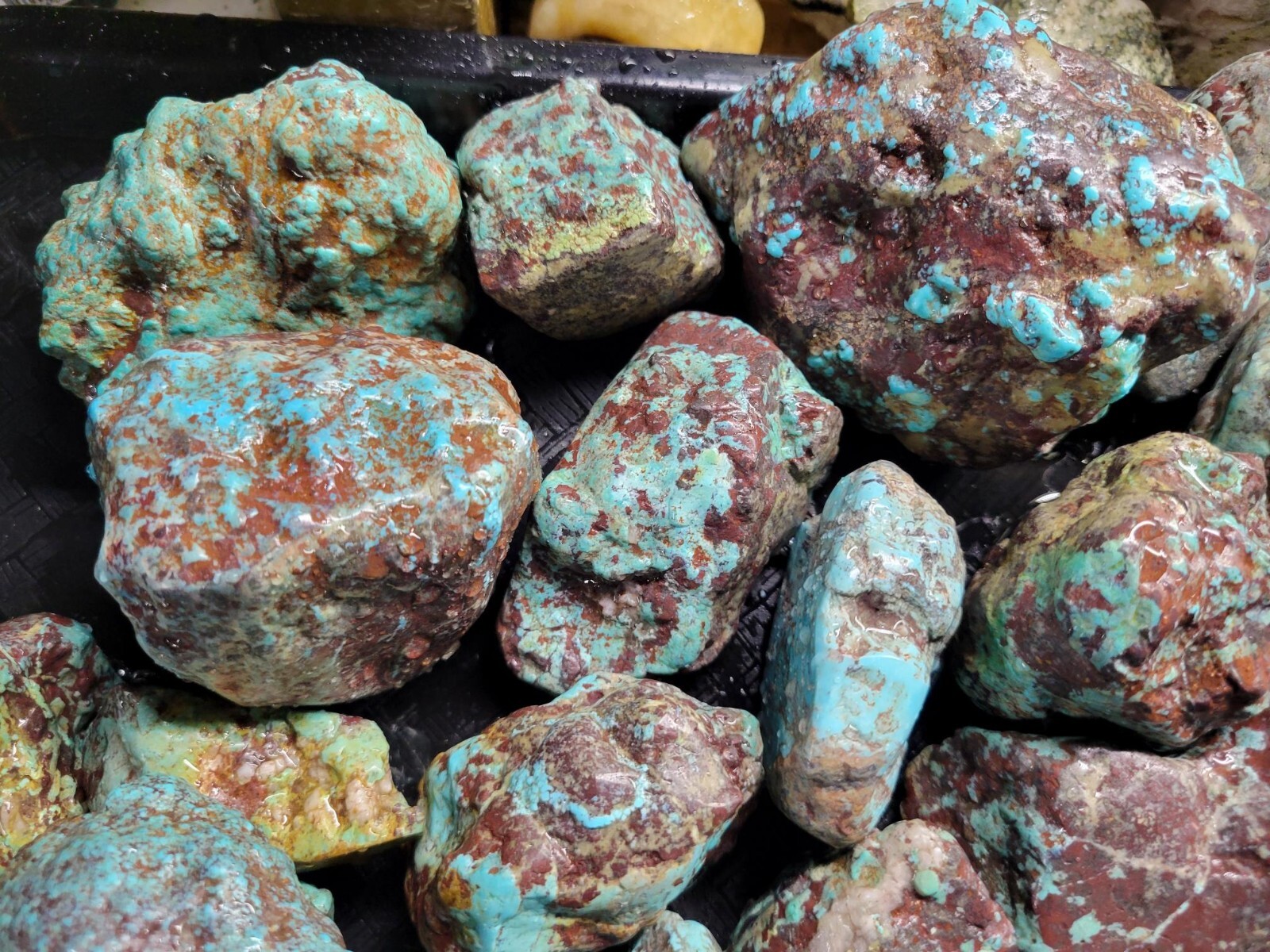 RARE Large Natural Bisbee Arizona Turquoise Rough Nuggets Half Pound