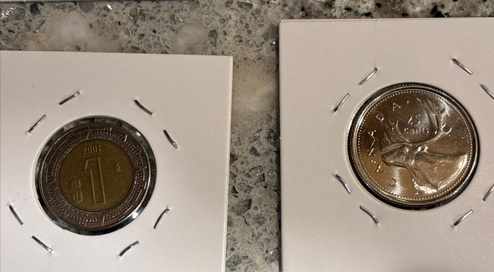 Foreign Coin Collection