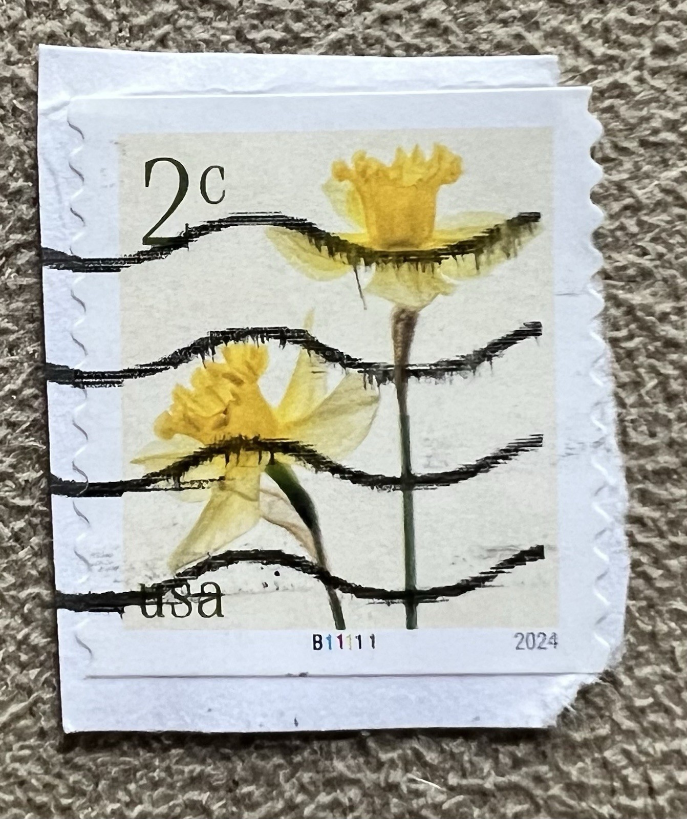 US Sc 5903 Daffodils Used PNC1 Stamp B11111 PNC