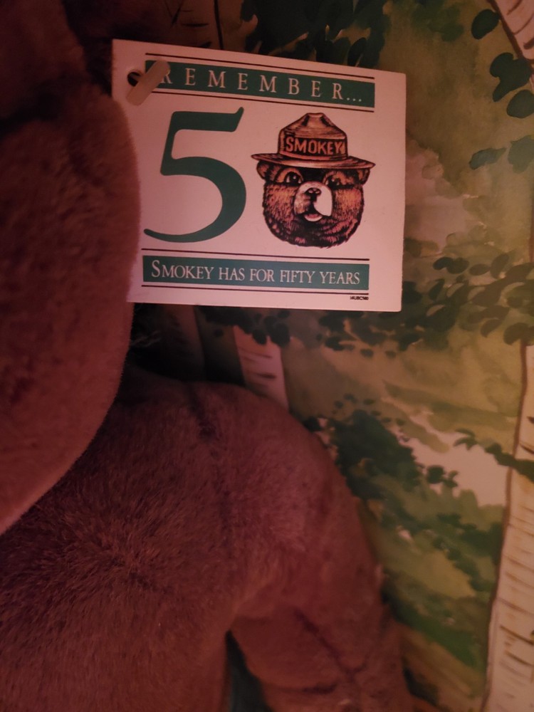 Smokey the Bear Vintage