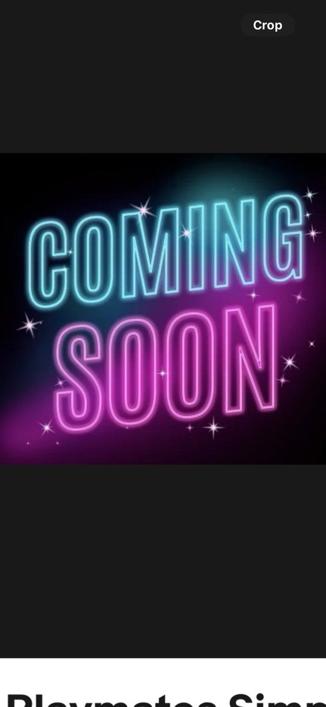 Fossil Specimen #047 Details Within 5 Days