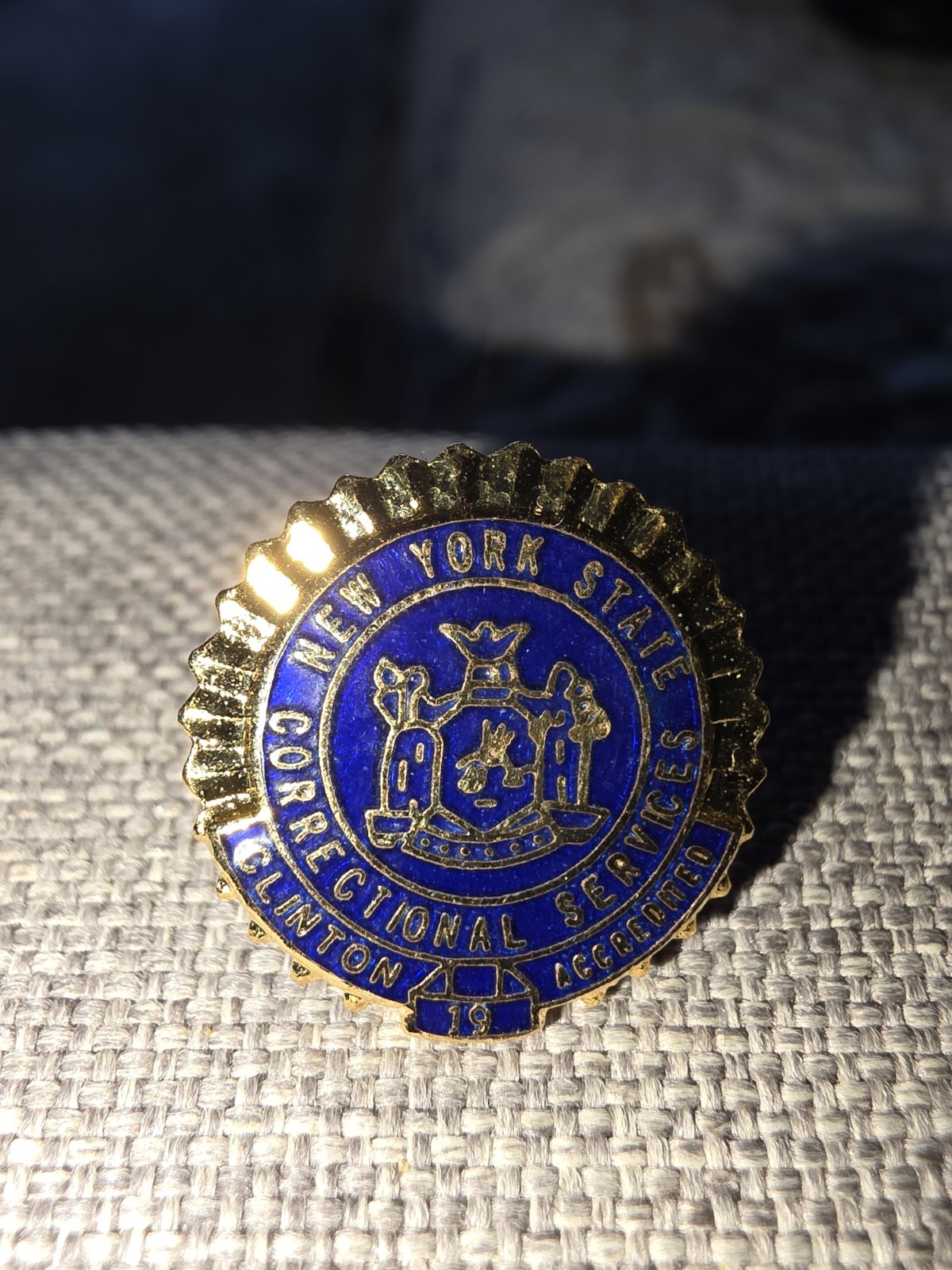 New York State Corrections Pin