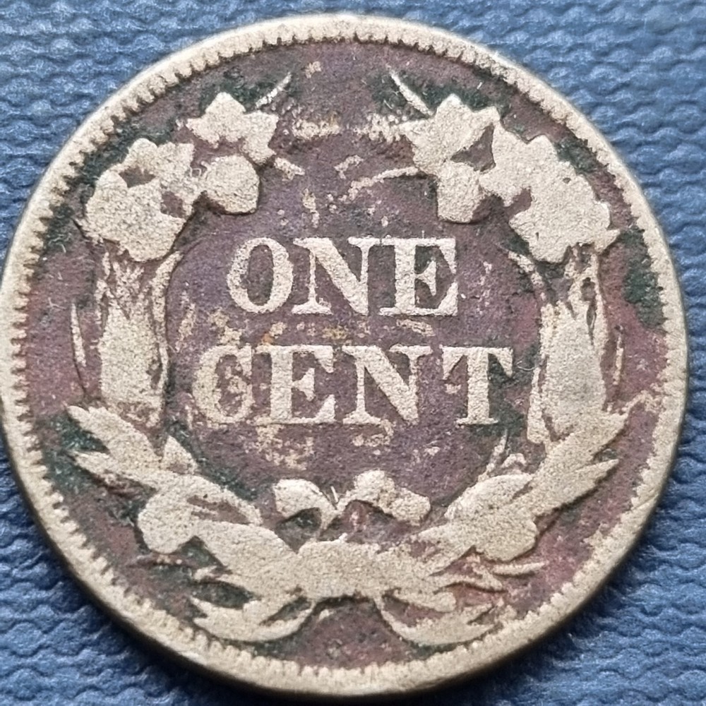 1858 Flying Eagle Cent 1c Circulated Details #70389