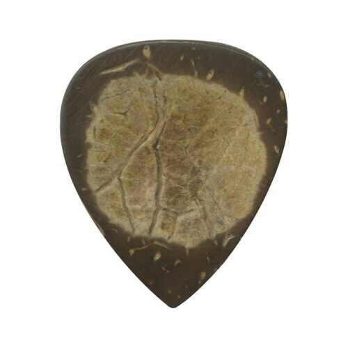 Clayton Coconut Shell Exotic Picks - 3 Guitar Picks (CHS/3)