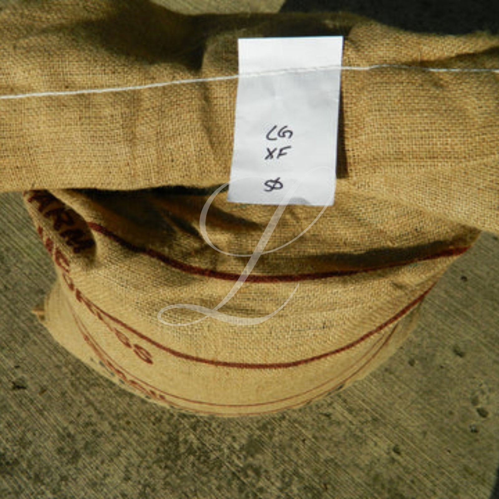 100% Kona Extra Fancy Coffee, 5 lbs, Green Beans or Medium Roasted to Order!