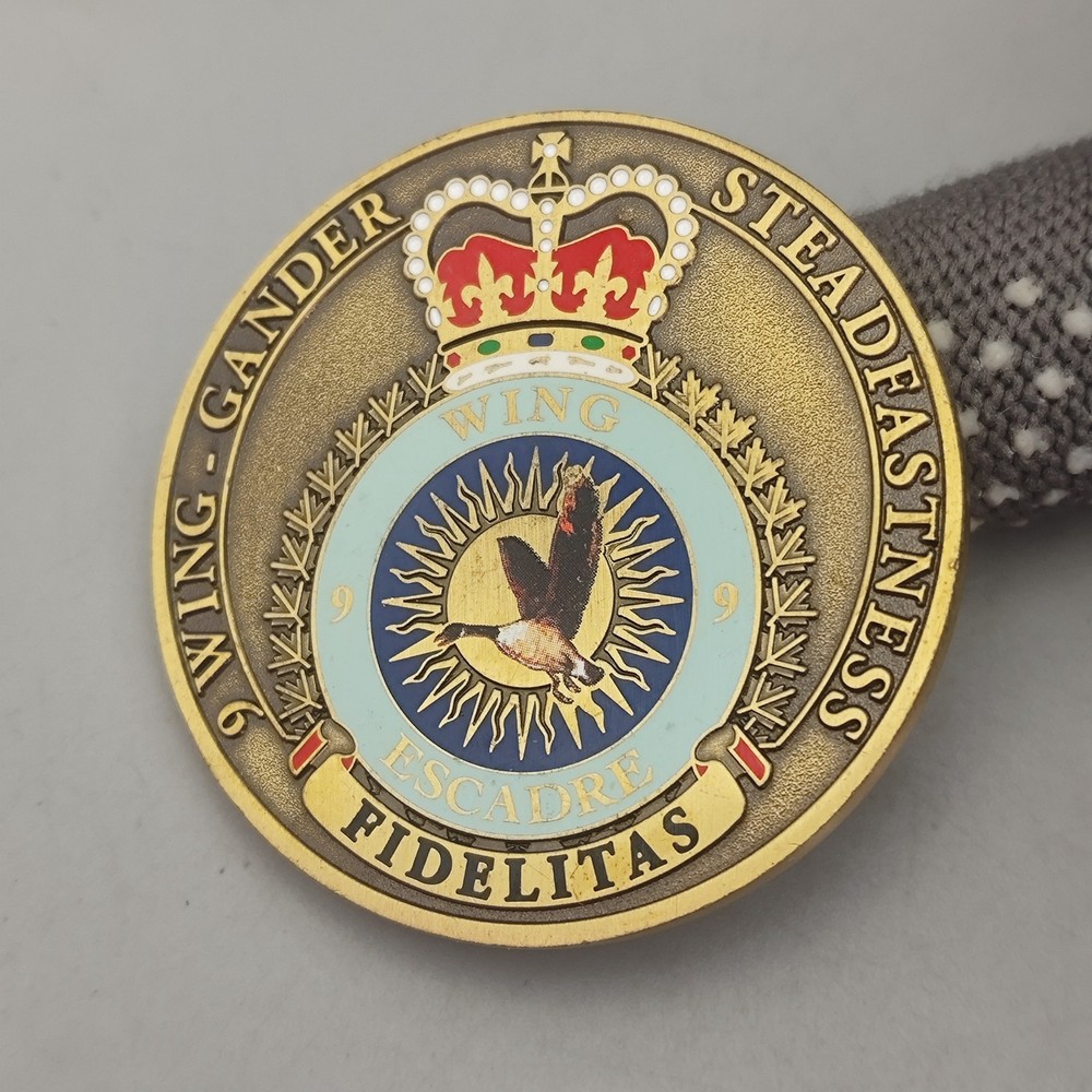 Wing Commander Alis Volant Propriis Challenge Coin