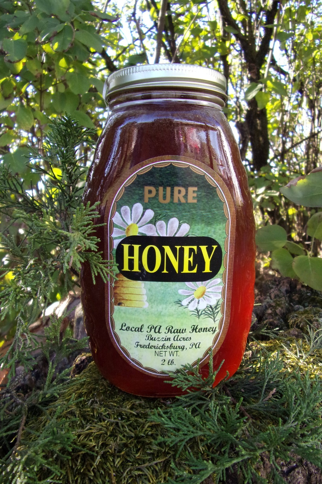 RAW Japanese Knotweed HONEY 100% Pure & natural