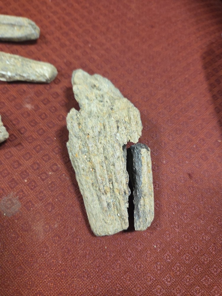 Dinosaur Bone Miscellaneous Lot dinosaur fossil Bones