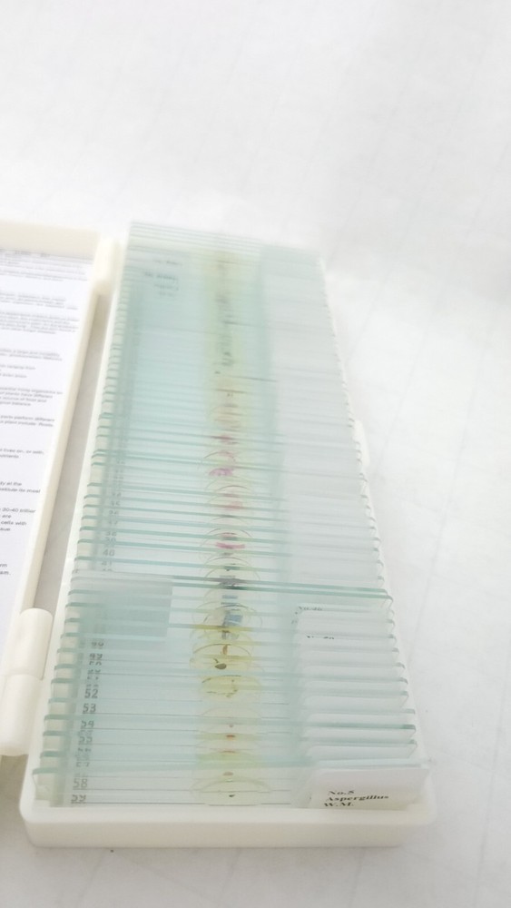 60 Microscope Slides with Specimens, Prepared Microscope Slides (59 only)