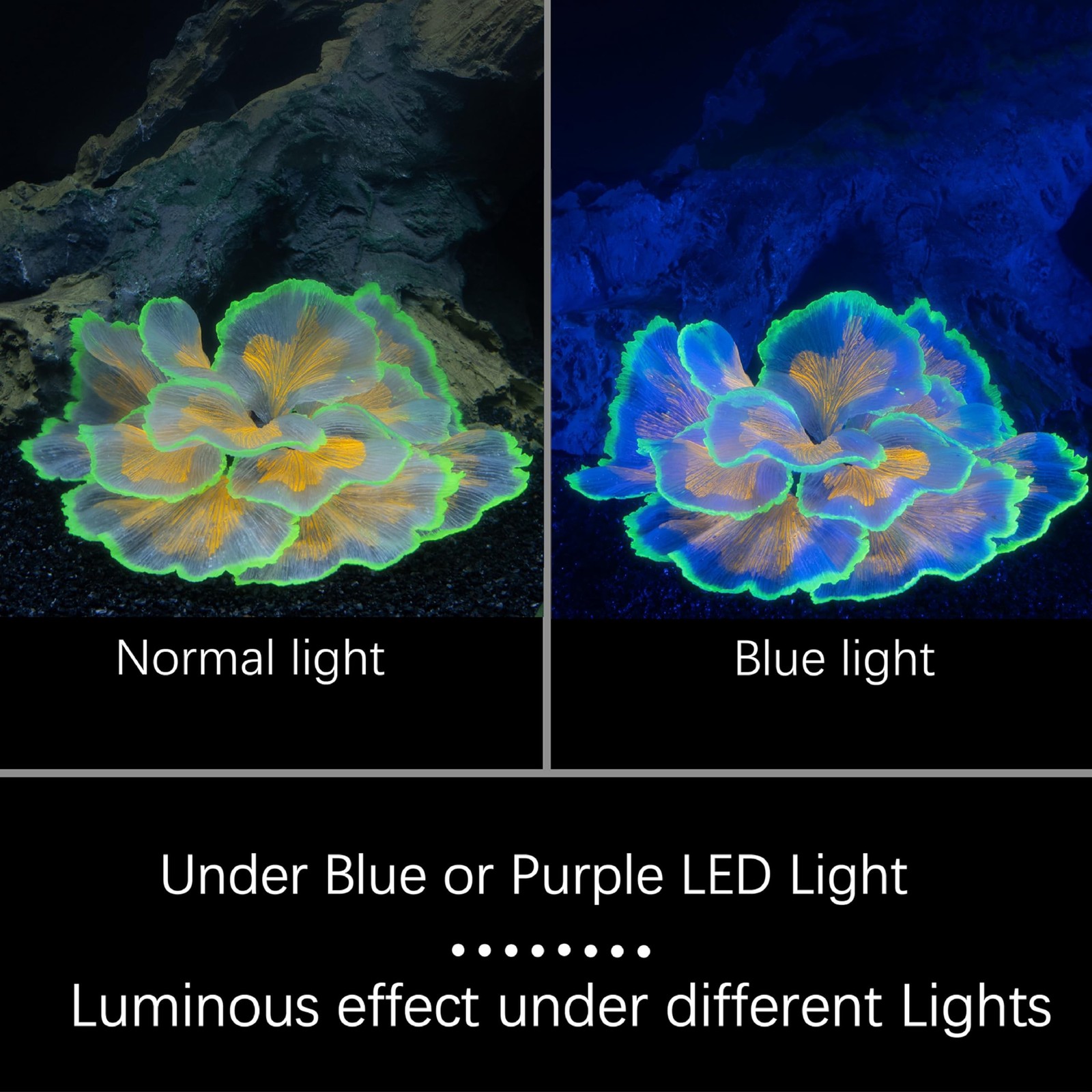 Fish Tank Decorations Glowing Flower Aquarium Decorations Aquatic Plants Bett...