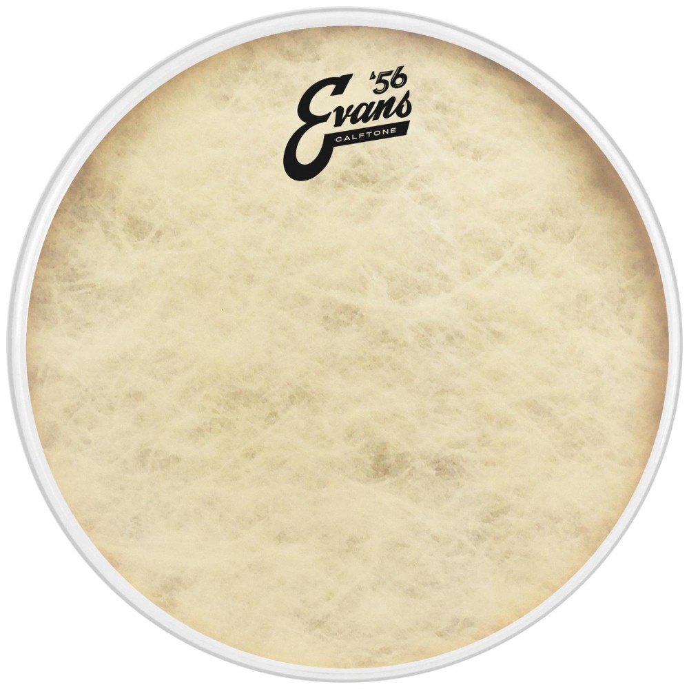 Evans Calftone Drumhead 18 in.