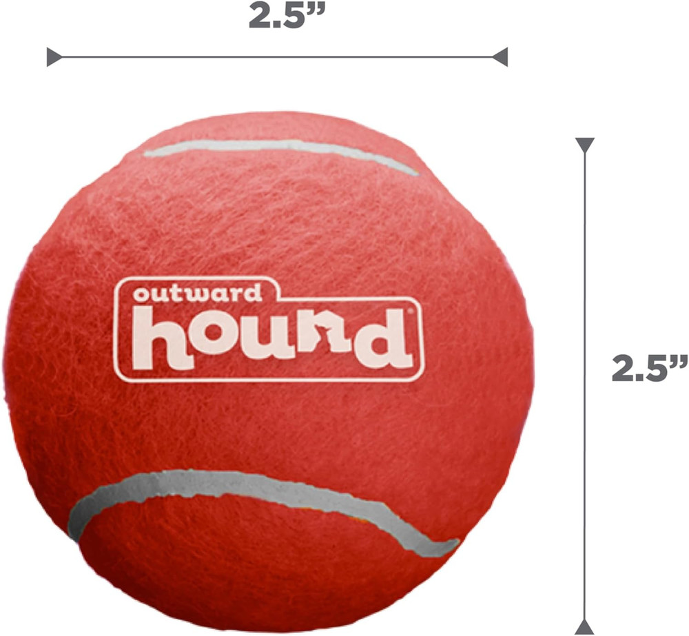 Squeaker Ballz Fetch Dog Toy, Medium - 4 Pack