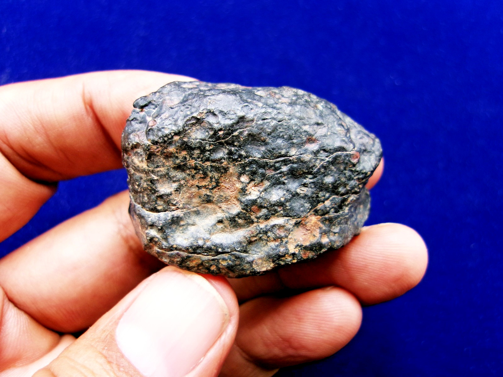 43.29 g - NWA 4502 - CVox3 Carbonaceous Meteorite - Tons of Chondrules & CAI's