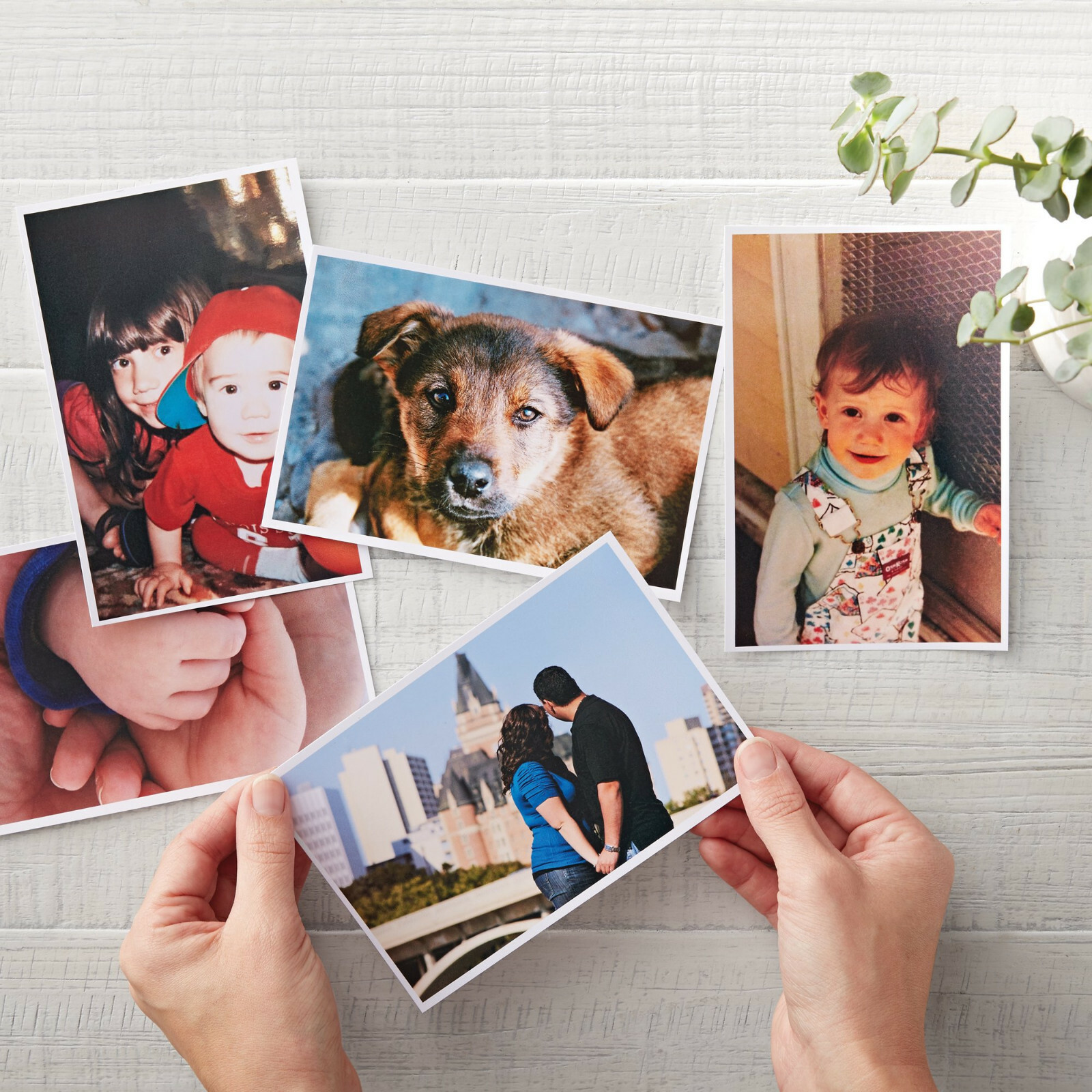 300 Sheets Koala Photo Paper 8.5 x 11 Glossy 48lb Inkjet Printer Epson HP Canon