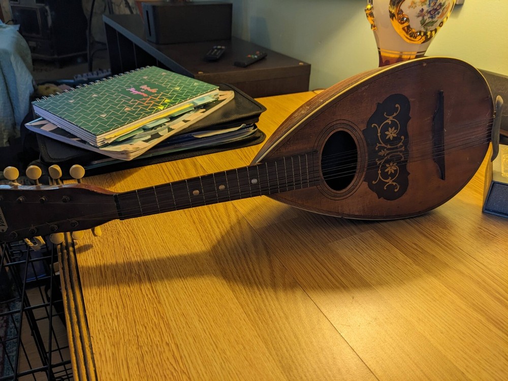 The Vernon Mandolin Antique