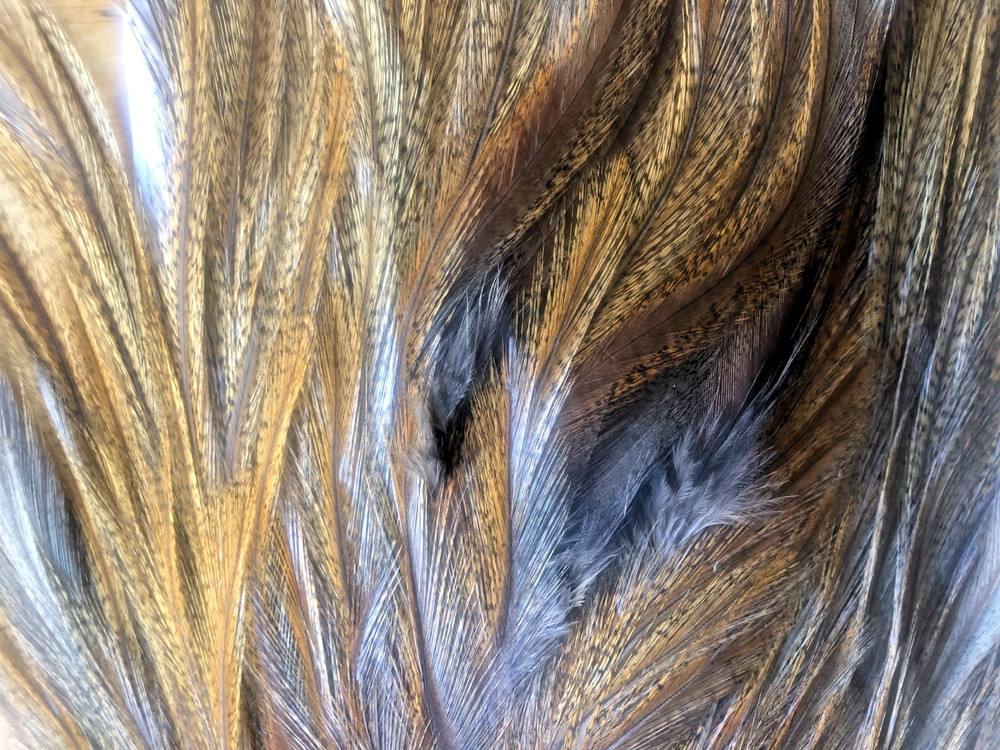 COQ DE LEON SADDLE FEATHERS - Ginger Pardo - 12 Per Pack -- NEW!