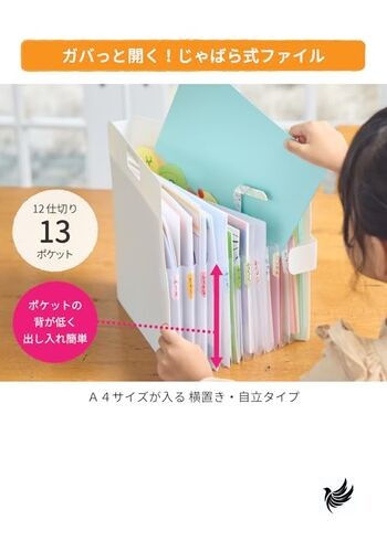 Sakura Cray-Pas Document Print Storage Case Small File A4 White TF-A4#50