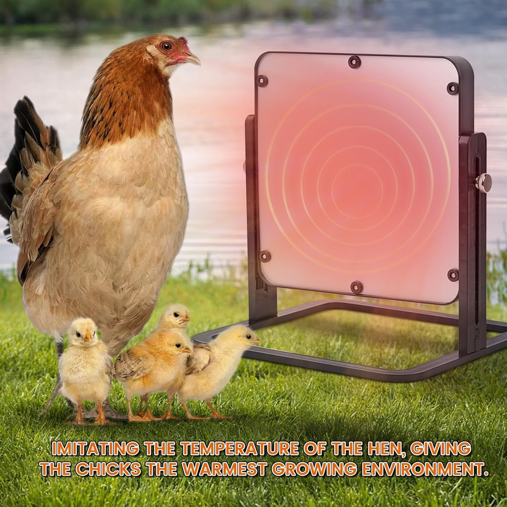 Chick Brooder Heater Plate 10"X10" Brooder Plate Chicks Adjustable Temperature