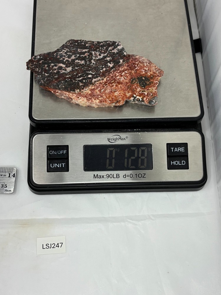 Orbicular Leopard Skin Jasper Slab Lapidary Cabbing Combo Ship Avail