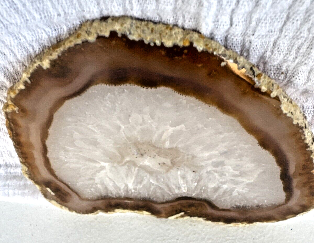 Beautiful Earth Tone Geode Slice Polished Natural Geode Mineral Rock Stone 5” W