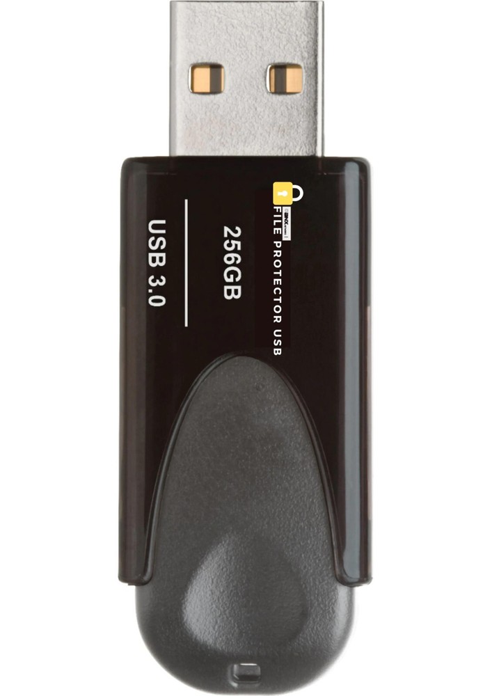 Encrypted Password Protected USB drive with Data Protection & Secure access