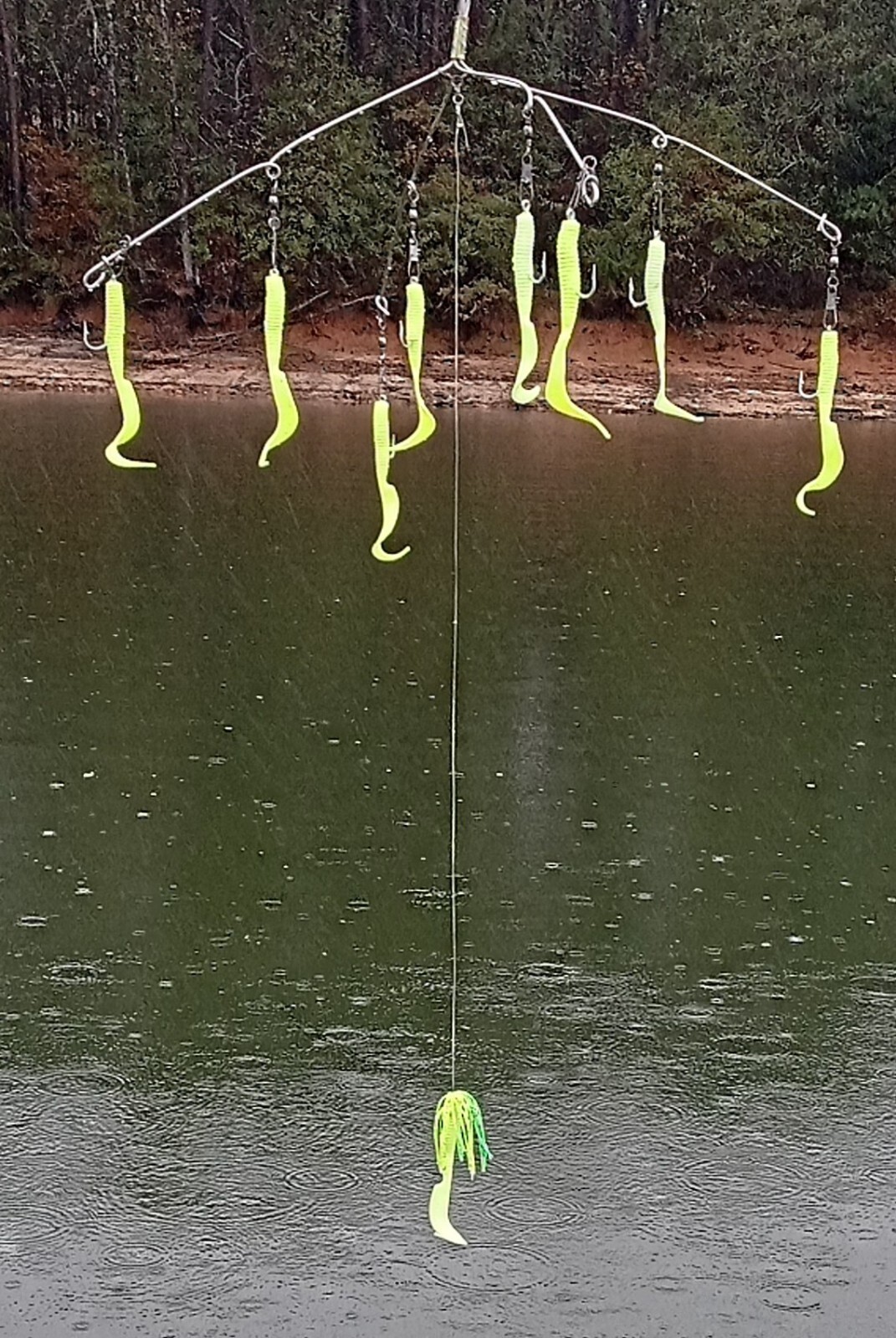 Striper Umbrella Rigs.  Rock Fish Swimming eels.     Yellow