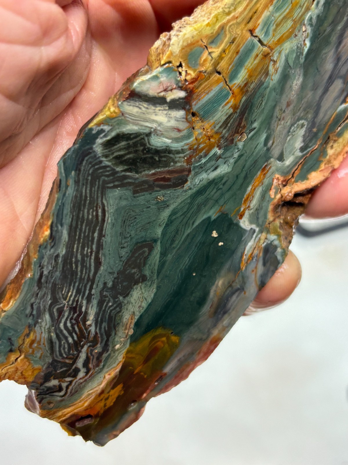 Gary Green Caldera Freedom Jasper Slab Cabbing Lapidary Combo Ship Avail