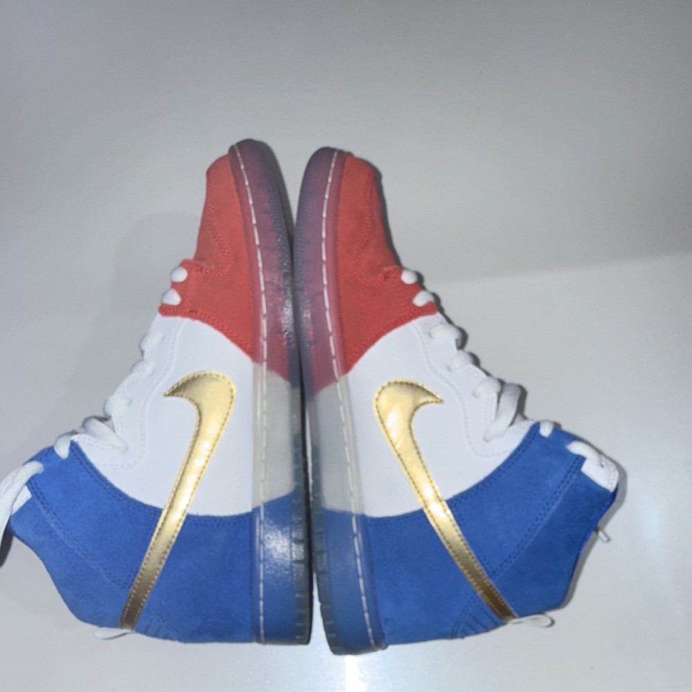 Nike SB High tri color