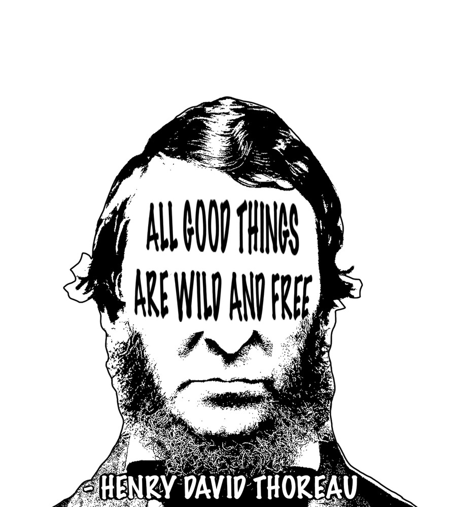 Henry David Thoreau Quote Stickers