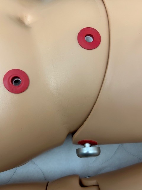 Gaumard Simple Susie Nursing Care Training Patient Simulator Manikin Mannequin