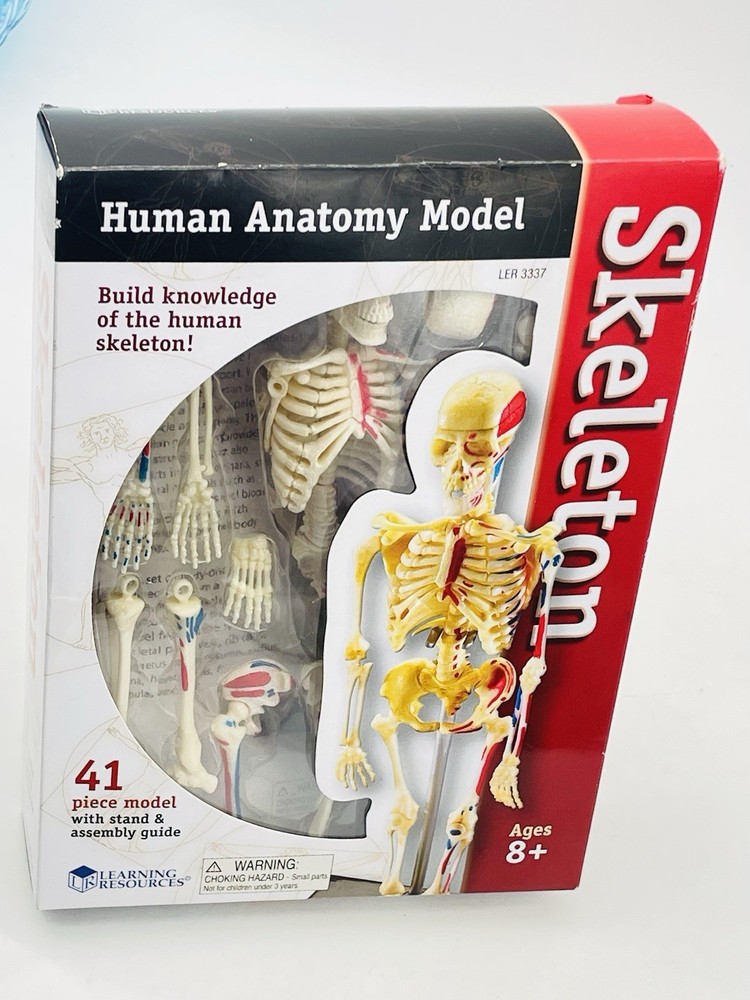Learning Resources STEM Human Anatomy Skeleton 9.2" Tall Realistic Model ~ 41 Pc