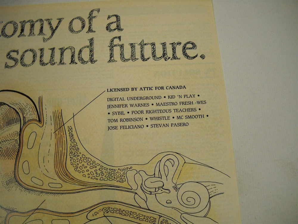 LEE AARON Digital Underground TOM ROBINSON Sybil HAYWIRE 1991 Promo Display Ad