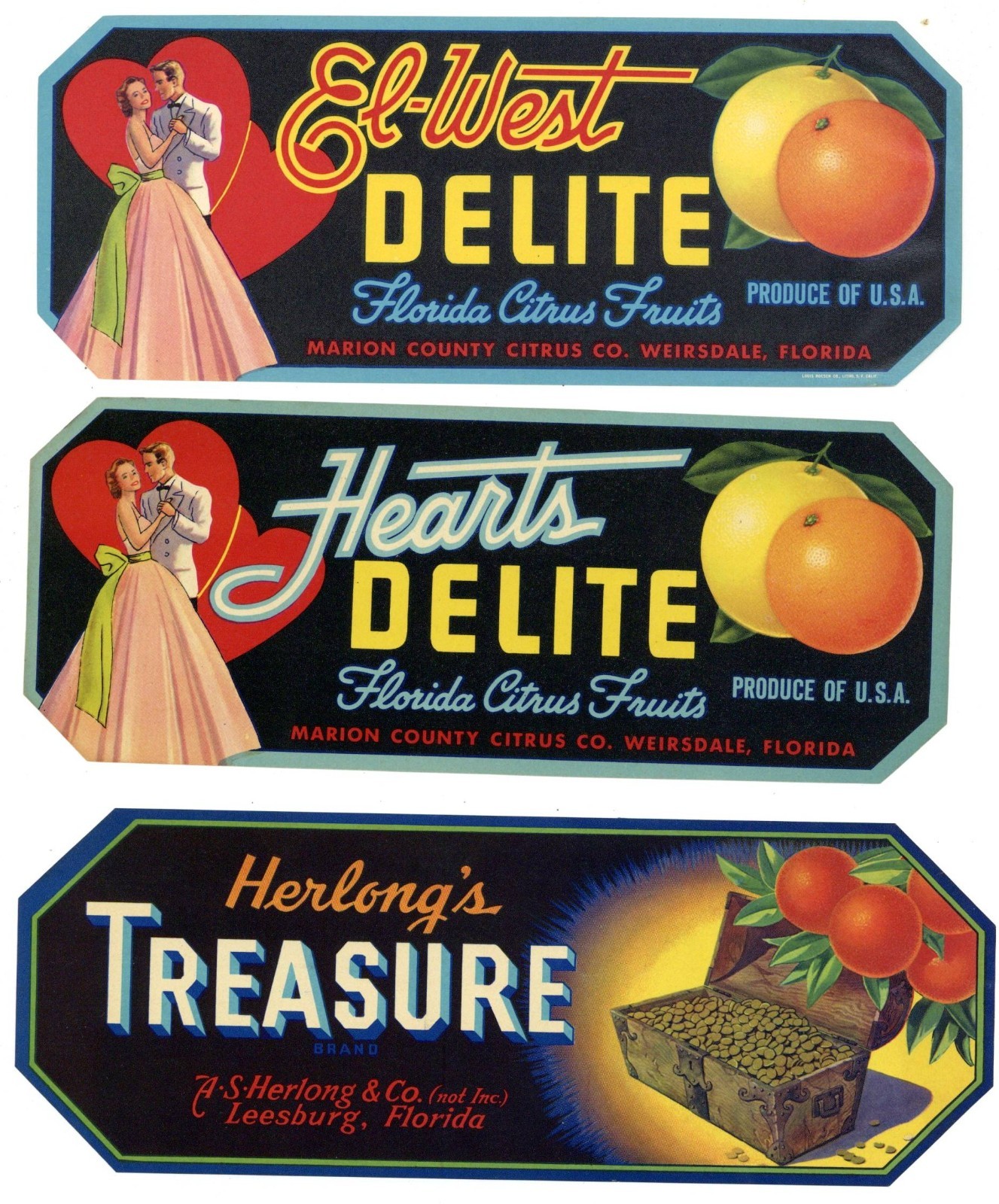 Collection of 25 Different Florida Citrus Labels **ORIGINAL FRUIT CRATE LABELS**