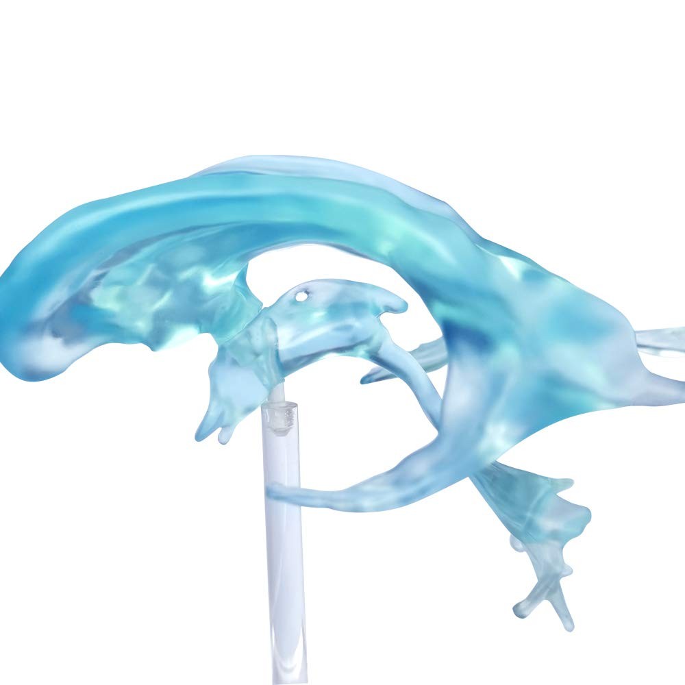 Human Brain Ventricles Model for Anatomy Teaching Learning, Students Learning...