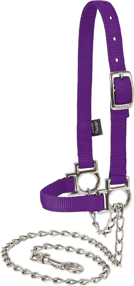 Nylon Adjustable Sheep Halter with Chain Lead