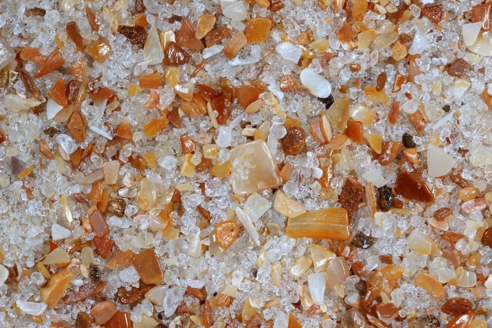 Florida Ormond Beach Sand Sample