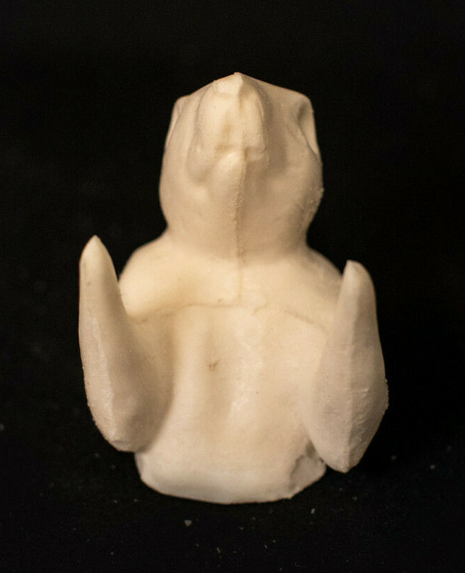 Taxidermy Form Half Grey Squirrel Medium Shoulder