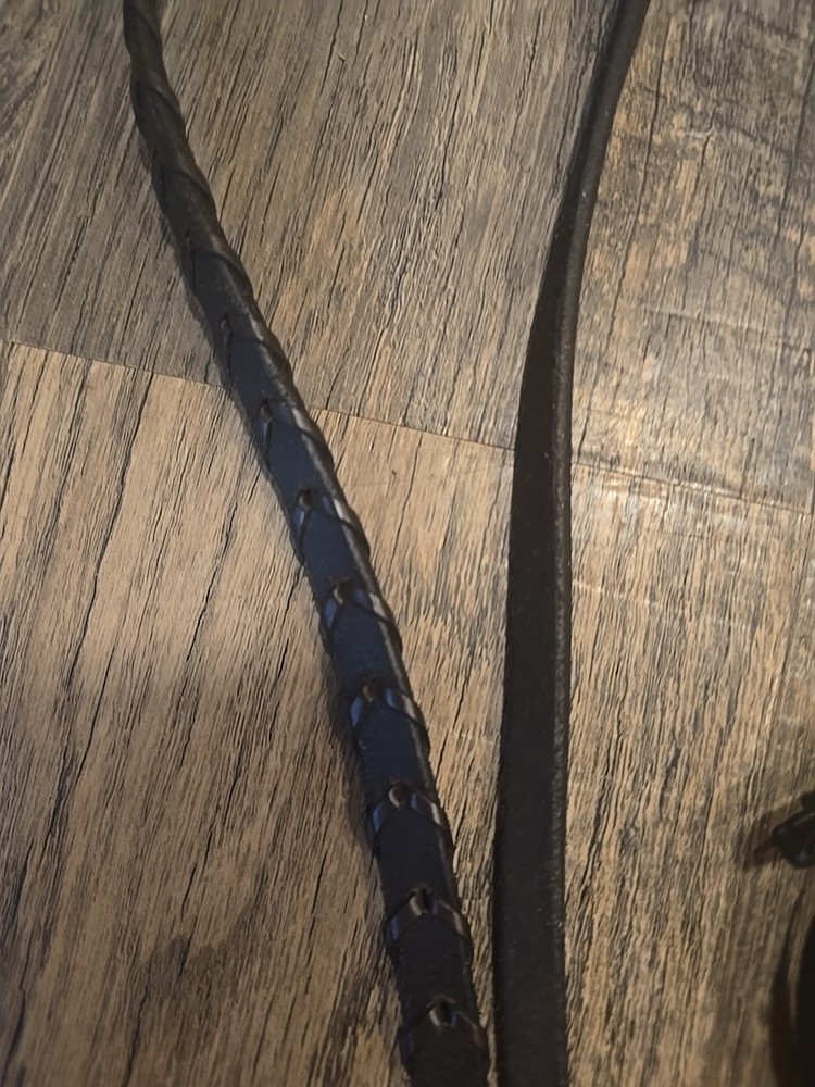 Horse Bit With Reins