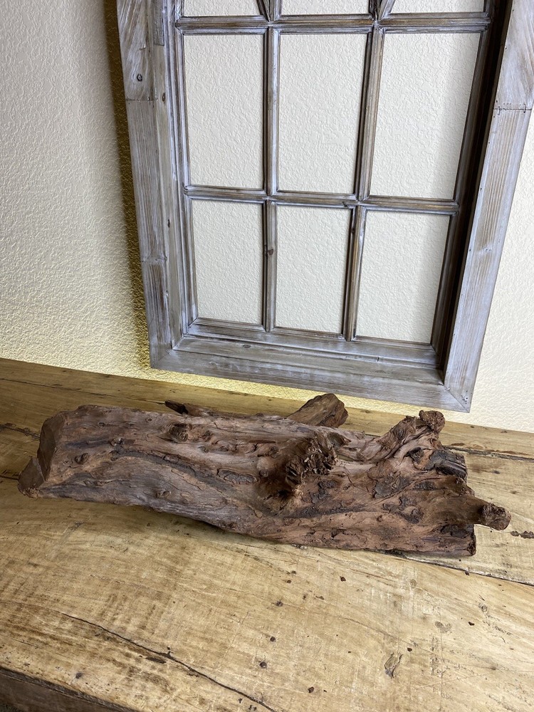 Aquatic Driftwood