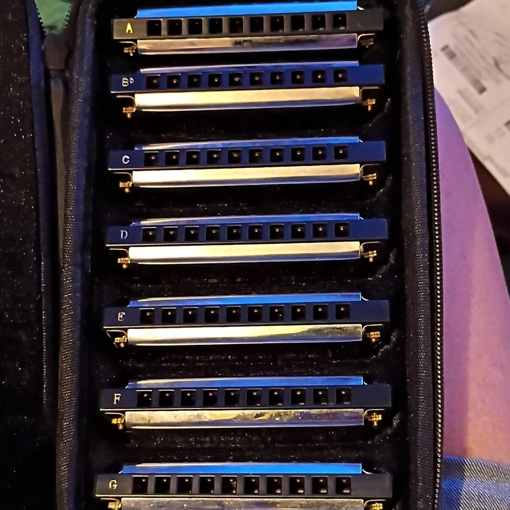 HOHNER Bluesband Diatonic Harmonica Set Multiple Keys with Case