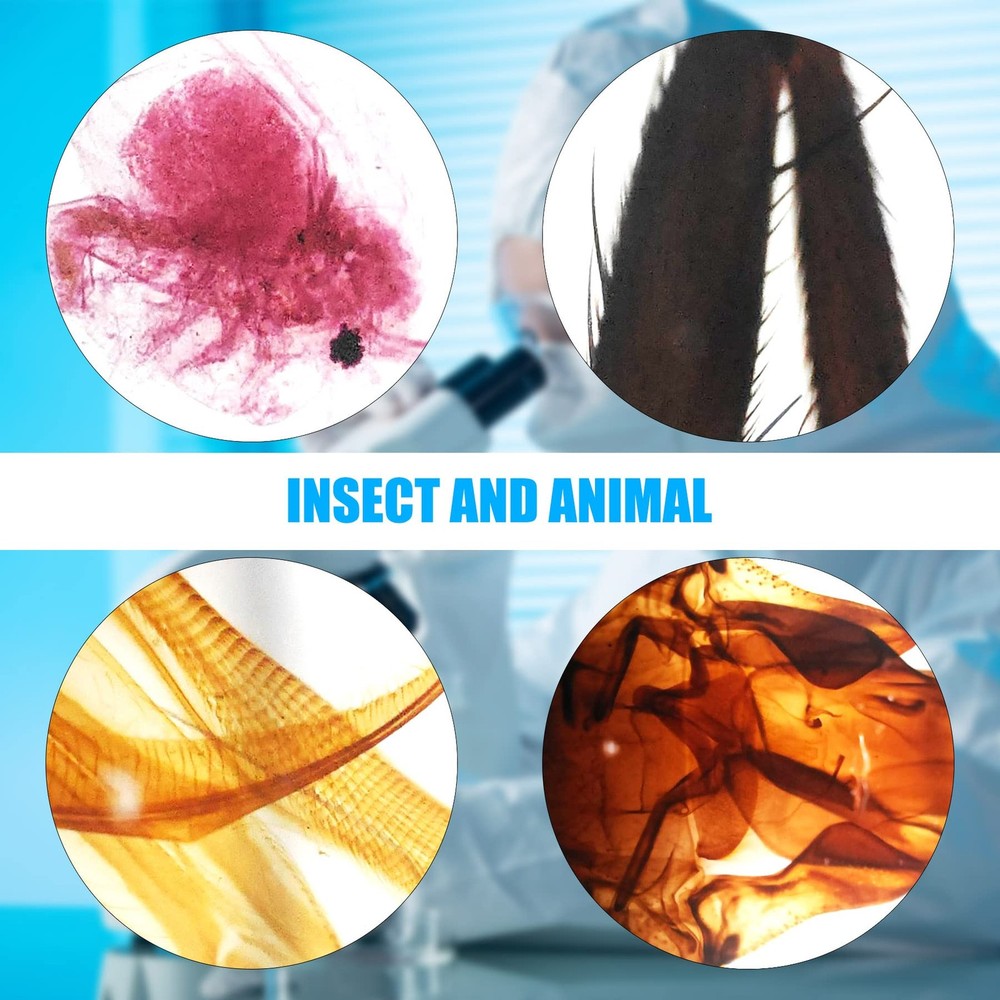 Microscope Slides, 100 Pcs Prepared Slides 100 pcs, Transparent
