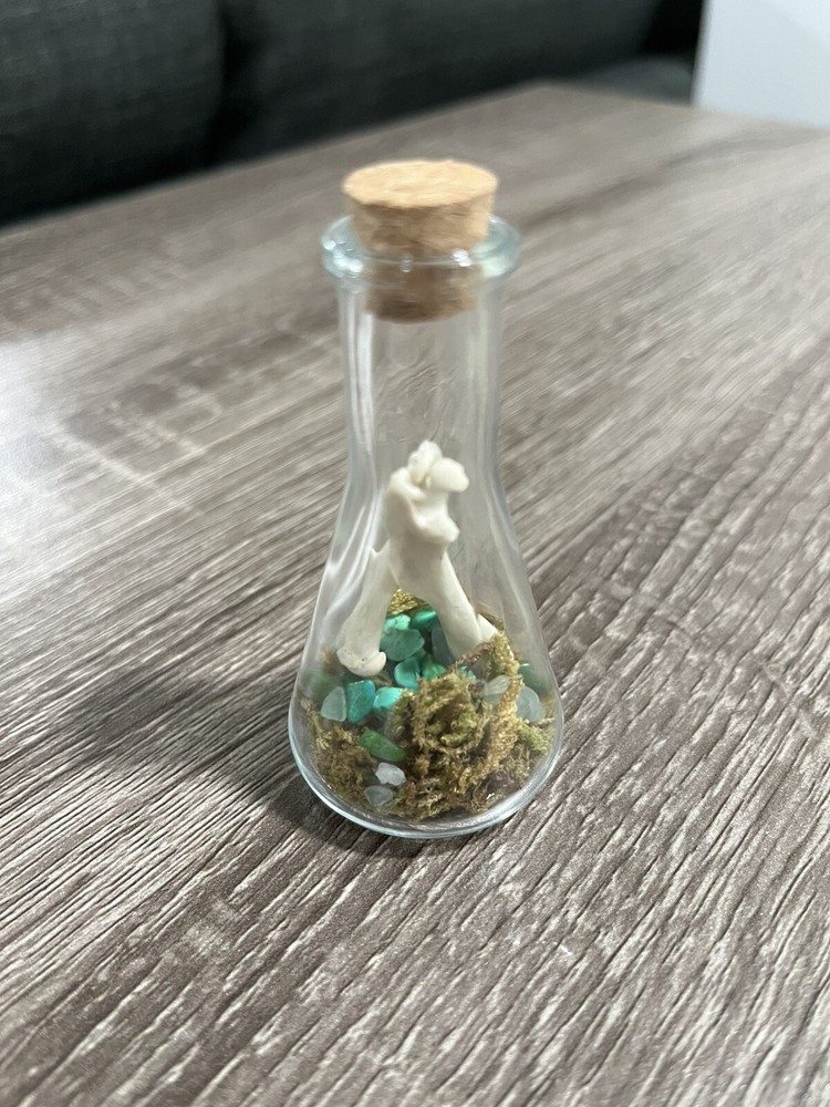 Bone Bottles