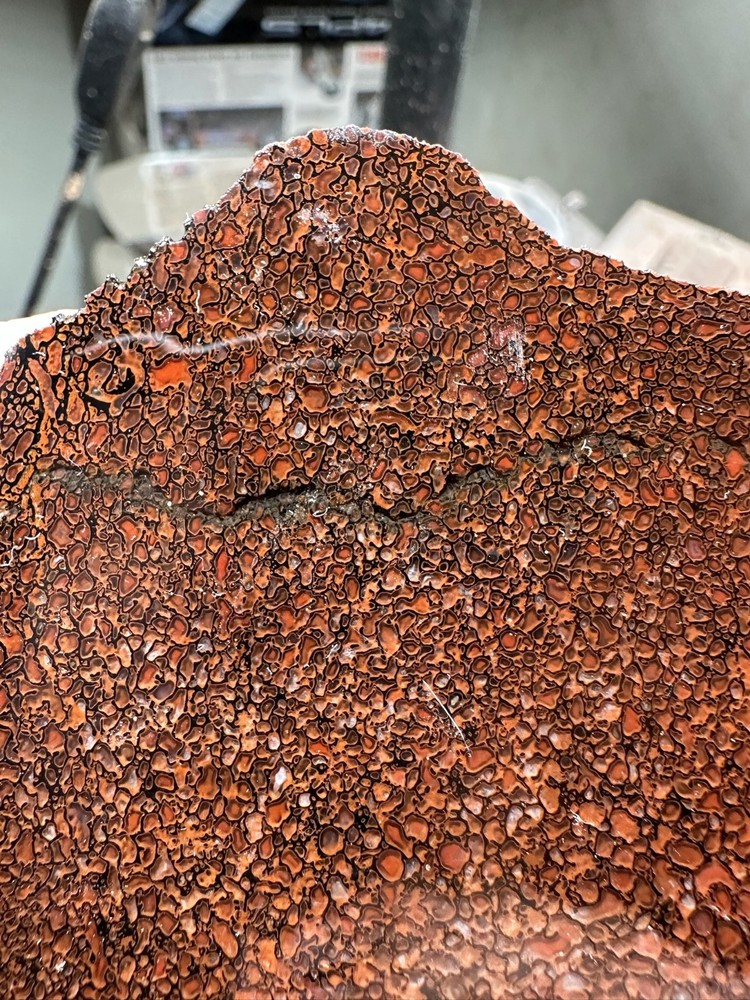 Dinosaur bone rough **hxtled slab.