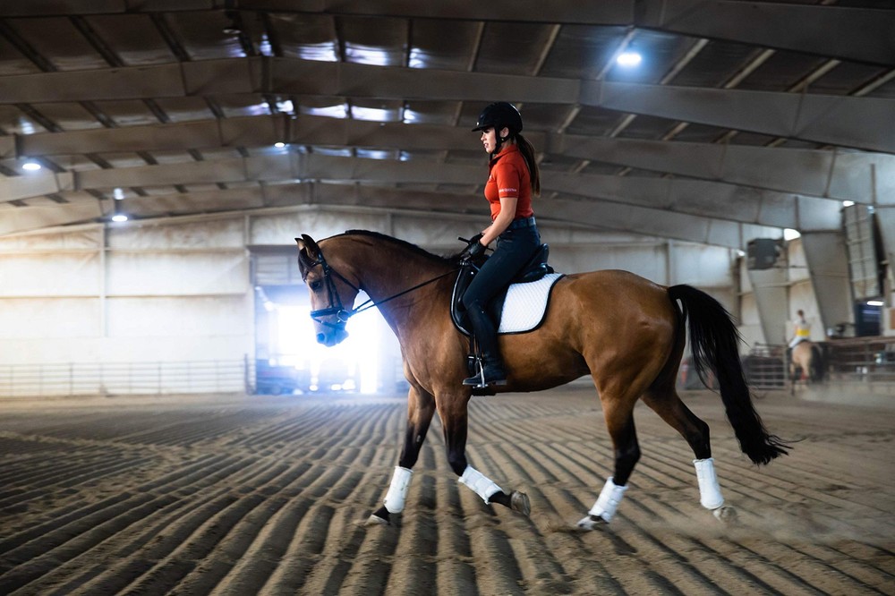 Pre-Performance Calming Paste for Horses - All Natural Gastric Support by Eag...